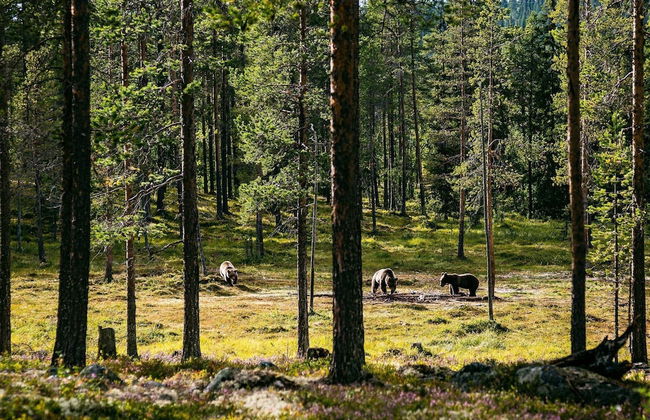 8 Person Holiday Home in Lofsdalen - Photo 18