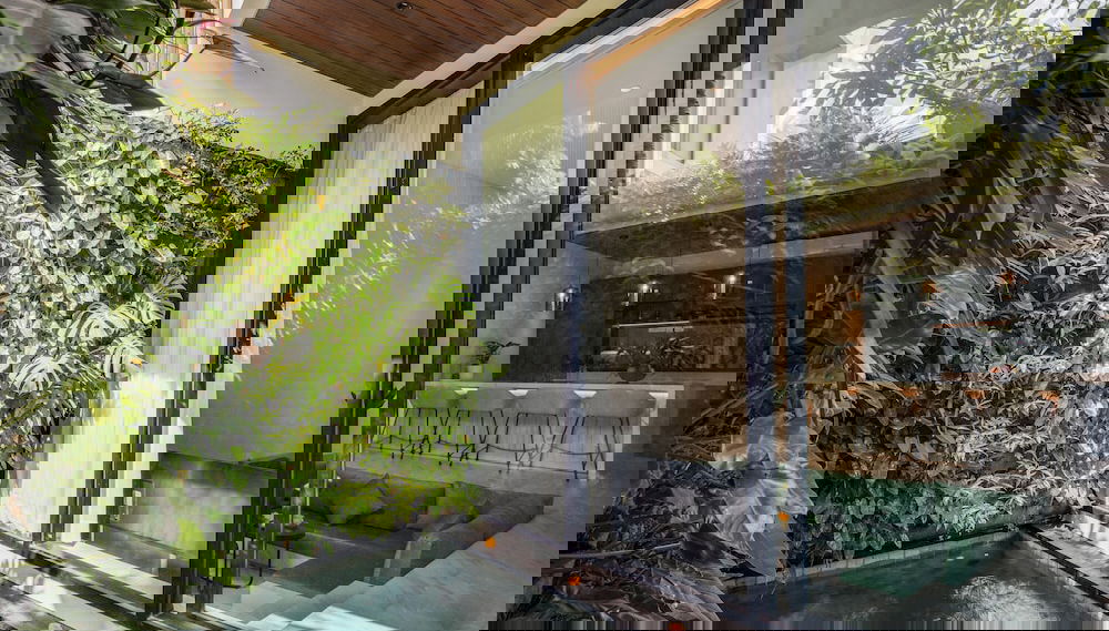 Imagem principal
