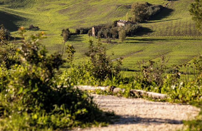 Colle Alberti Country House - Foto 74
