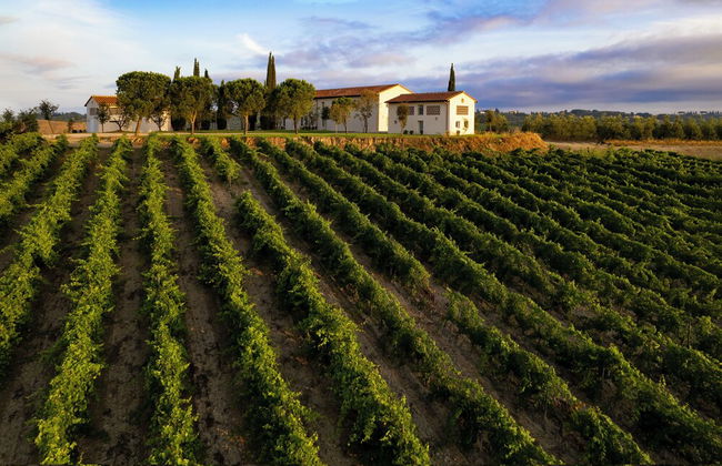 Colle Alberti Country House - Foto 63