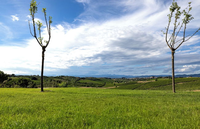 Colle Alberti Country House - Foto 67