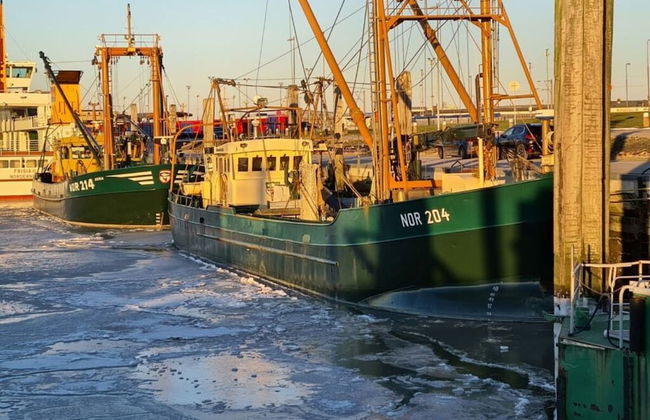 Janssen Comfortable Holiday Residence - Foto 28