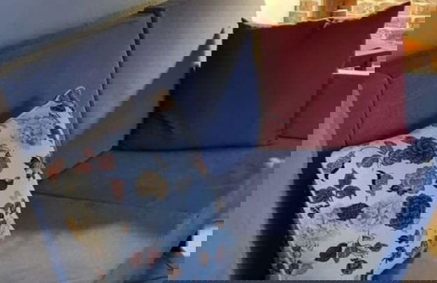 Janssen Comfortable Holiday Residence - Foto 16