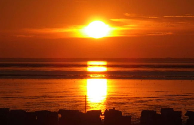 Janssen Comfortable Holiday Residence - Foto 38