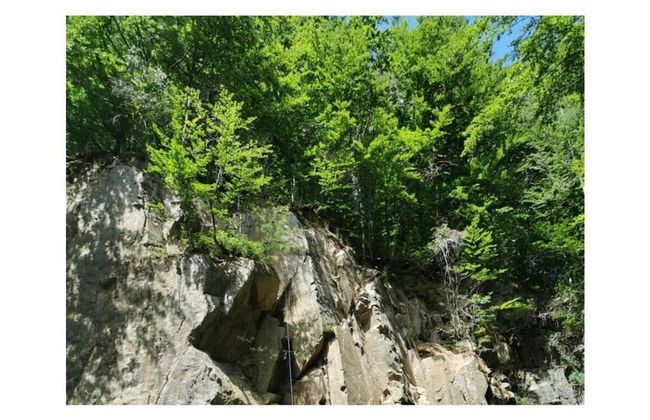 Panoramic View of Lake Harz - Foto 2