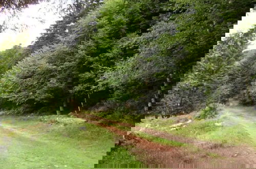 Photo 9 - Gite Hansel, set in Greenery Beside a Stream