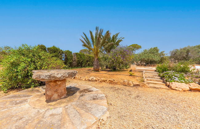 Els Garrovers in Ses Salines - Foto 28