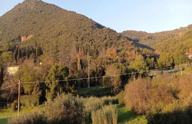 Luxury Retreat Montevettolini - Foto 31