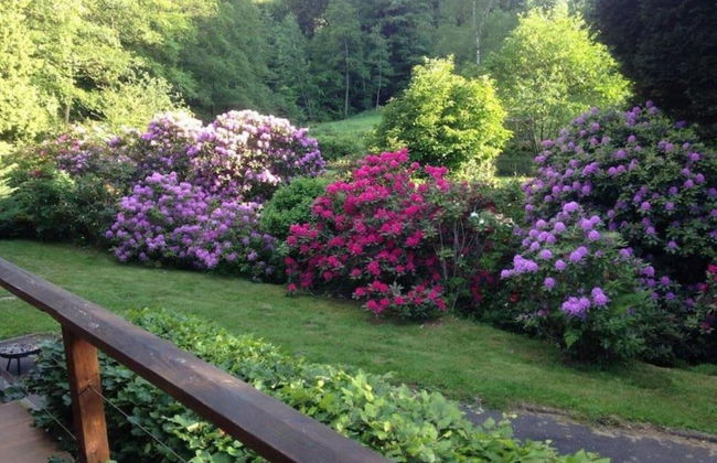 Premium Apartment in Saint-quirin With Garden - Foto 73