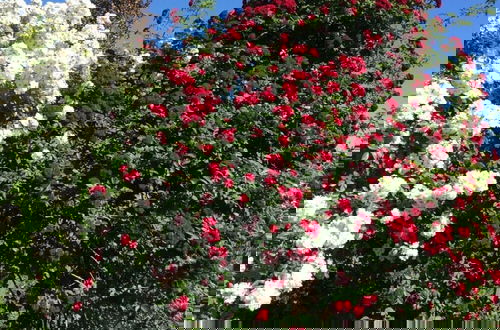 Photo 16 - Rose Ambience Modern Retreat