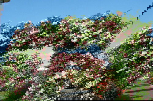 Photo 17 - Rose Ambience Modern Retreat