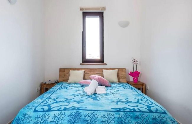 Detached Villa With Garden in Stintino - Photo 5