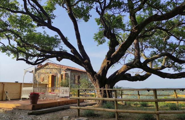 New Tuscan Villa With Pool - Photo 34