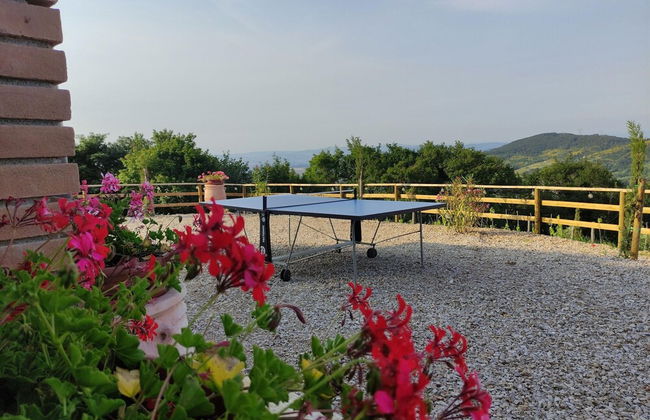 New Tuscan Villa With Pool - Photo 41