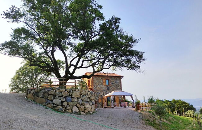 New Tuscan Villa With Pool - Photo 36