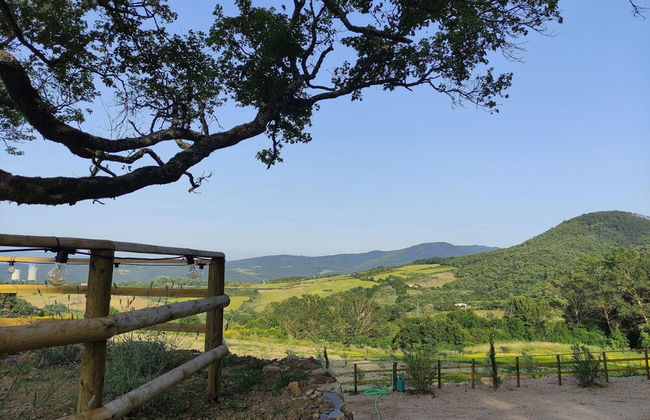 New Tuscan Villa With Pool - Photo 43