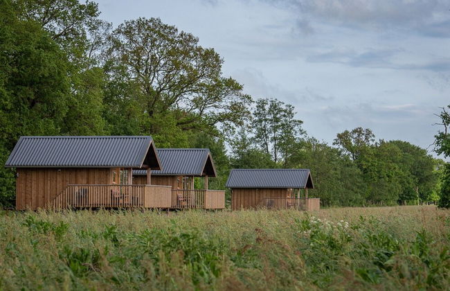 Composite Lodges With Shared Space in Drenthe - Foto 17