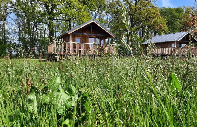 Composite Lodges With Shared Space in Drenthe - Foto 22