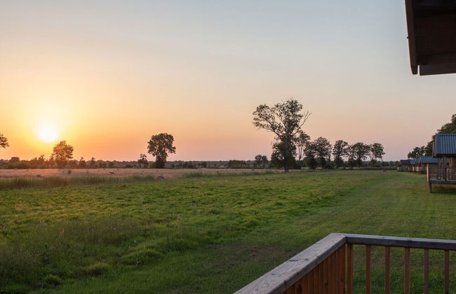 Composite Lodges With Shared Space in Drenthe - Foto 32