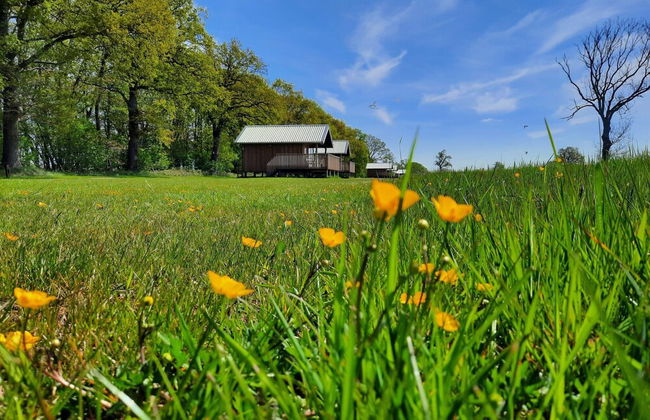 Composite Lodges With Shared Space in Drenthe - Foto 18