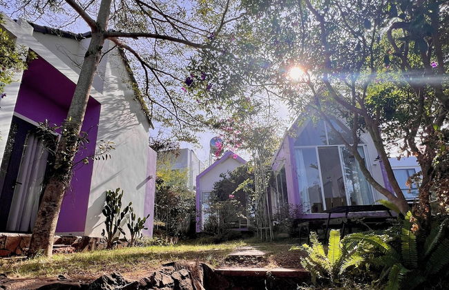 MeGarden Daknong - Photo 56