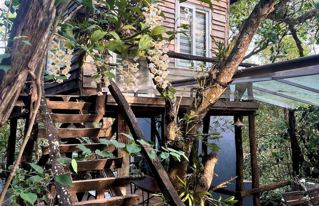 MeGarden Daknong - Photo 5