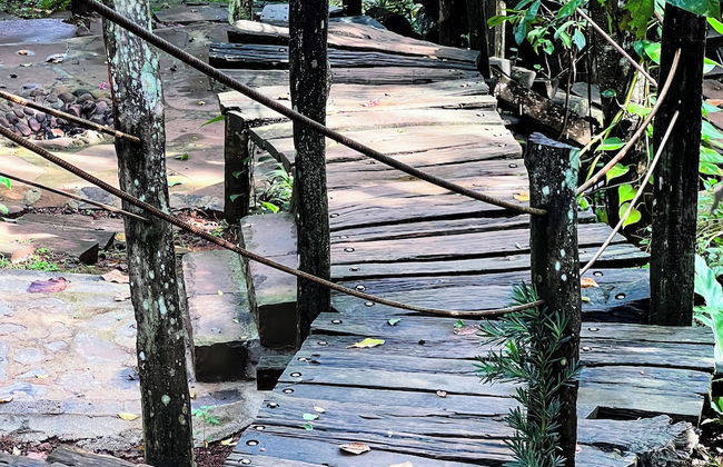 MeGarden Daknong - Photo 58