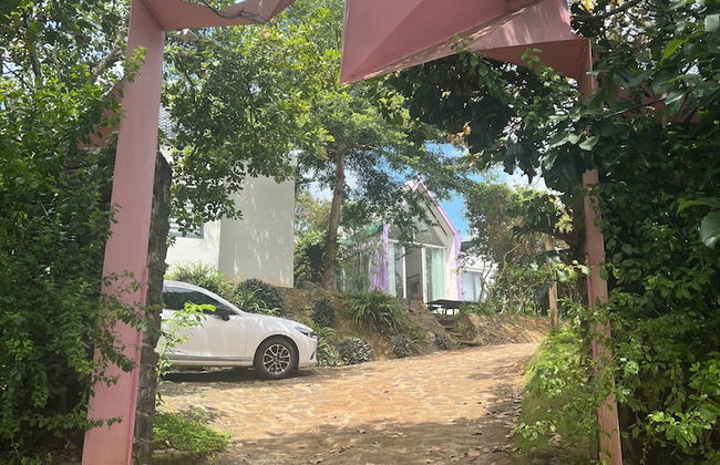 MeGarden Daknong - Photo 54