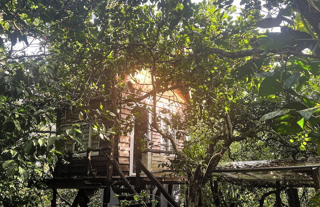 MeGarden Daknong - Photo 9