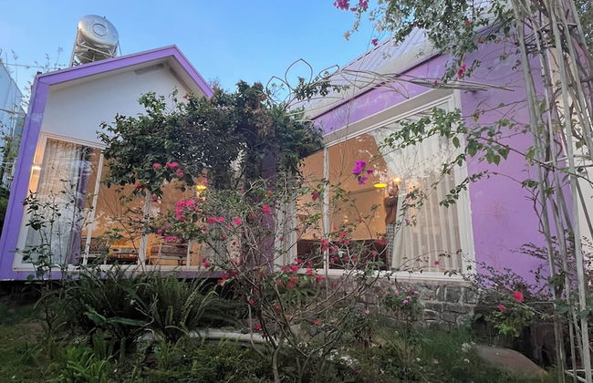 MeGarden Daknong - Photo 49