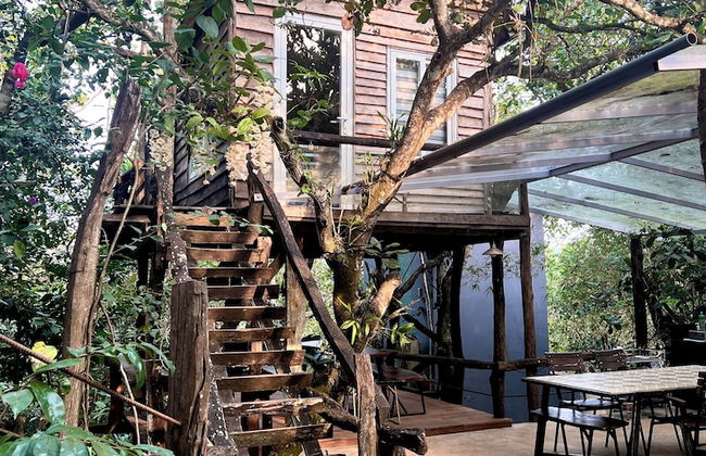 MeGarden Daknong - Photo 37