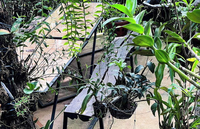 MeGarden Daknong - Photo 42