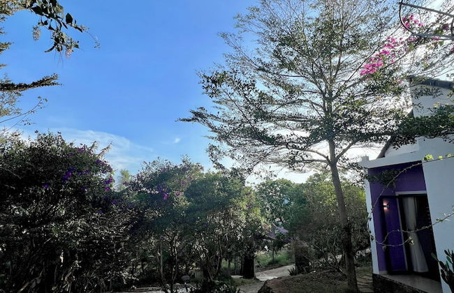 MeGarden Daknong - Photo 55