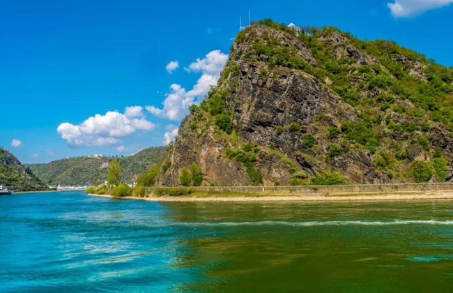 Holiday Home by Rhine Near Burg Maus - Foto 35