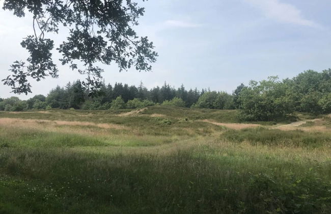 At the Provision House Modern Retreat - Photo 14