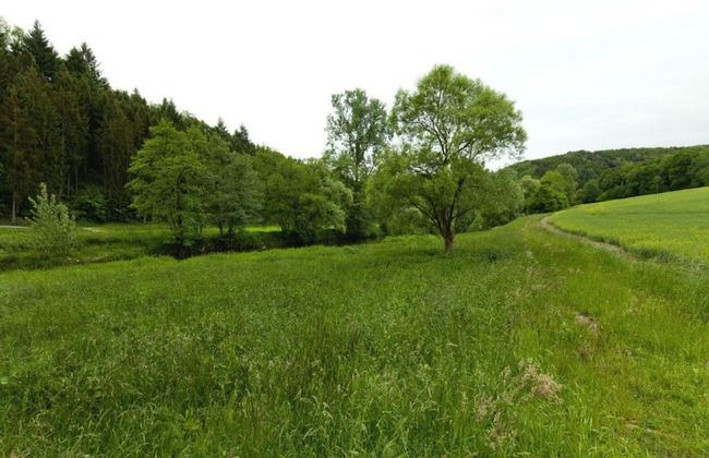Spacious Apartment in Pracht near Forest - Photo 35