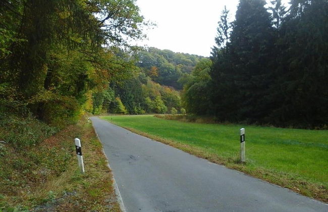 Spacious Apartment in Pracht near Forest - Photo 38