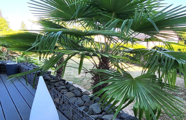 Regal Apartment in Pracht With Garden and Grill - Photo 22