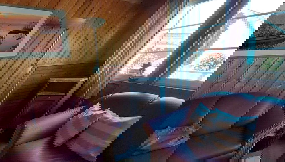 Imagem principal
