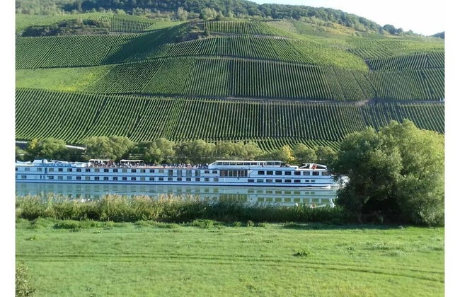 Holiday Apartment Moselle Beach 1 - Foto 31