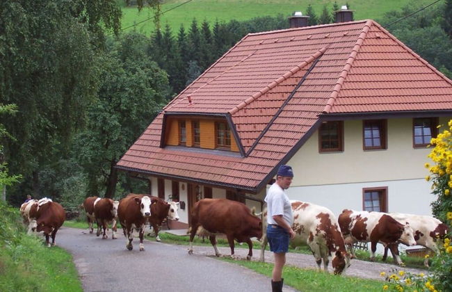 Pleasant Holiday Home With Balcony - Photo 15
