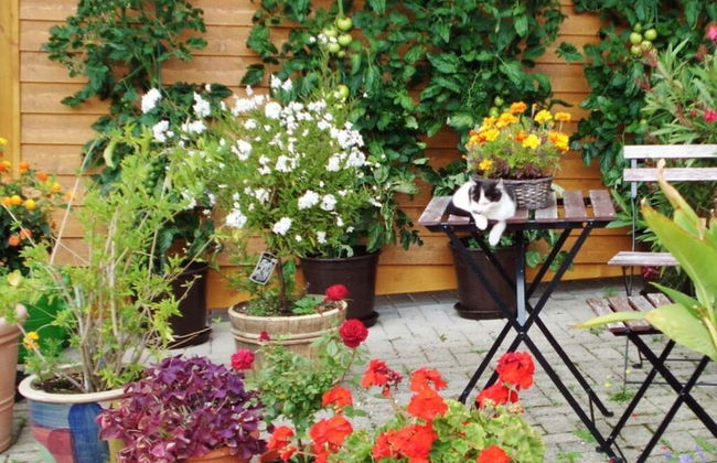 Pleasant Holiday Home With Balcony - Photo 19
