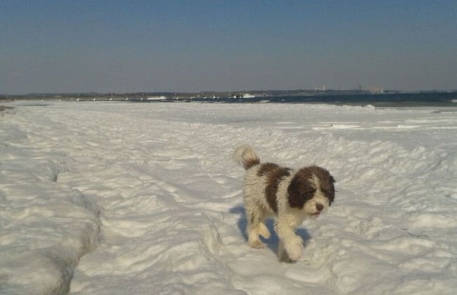 Chrissi's Baltic Sea Nest - Foto 13