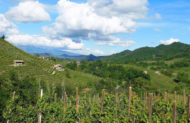 Landlord La Pieve Apartment - Photo 20