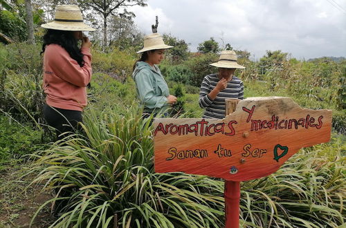 Photo 26 - Tierra Activa Organic Farm and Agro-tourism San Agustin