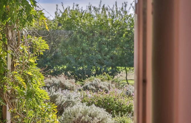 Casa Trivetia - Alentejo - Foto 41