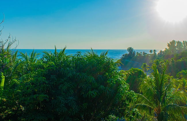 Buena Vista El Zonte - Photo 1