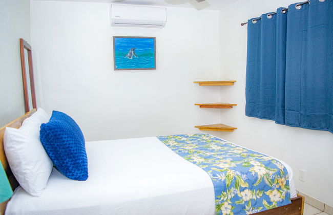 Buena Vista El Zonte - Photo 3