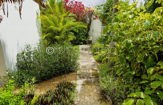 L'oasis du quai - Foto 20