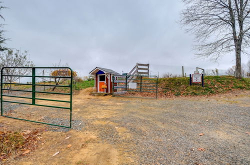 Photo 31 - Pet-friendly Pilot Studio w/ Vineyard Views